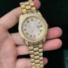 Classic Roman Number Steel Moissanite Iced Watch